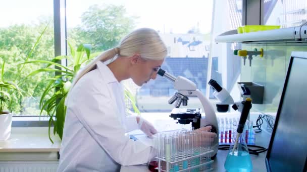 Laboratuvarda çalışan bir bilim adamı. Kadın doktor tıbbi araştırma yapıyor. Laboratuvar aletleri: mikroskop, test tüpleri, ekipmanlar. Biyoteknoloji, kimya, bilim, deneyler ve sağlık konsepti. — Stok video