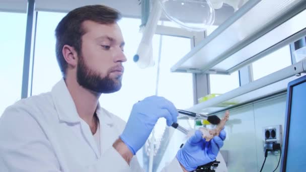 Arqueólogo trabajando en laboratorio de investigación natural. Asistente de laboratorio limpiando huesos de animales. Arqueología, zoología, paleontología y ciencias de la vida . — Vídeo de stock