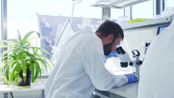 Vetenskapsmannen och hans assistent arbetar i labbet. Läkare som lär praktikanter att analysera forskning. Laboratorieverktyg: mikroskop, provrör, utrustning. — Stockvideo