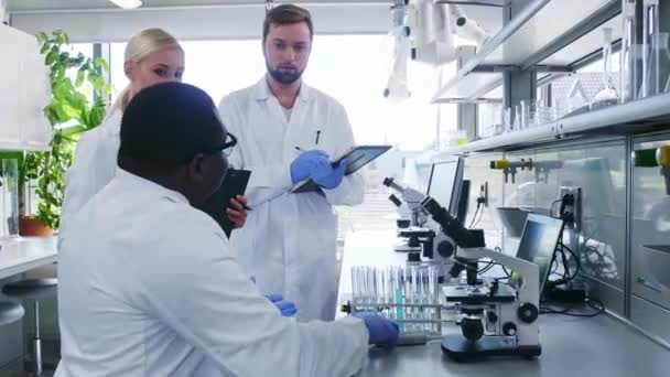 Cientista a trabalhar no laboratório. Médicos a fazer pesquisa médica. Ferramentas de laboratório: microscópio, tubos de ensaio, equipamento. Biotecnologia, química, ciência, experimentos e conceito de saúde . — Vídeo de Stock