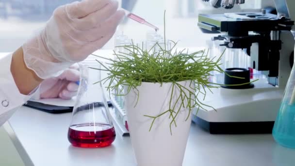 Wetenschapper in het lab. Vrouwelijke dokter doet medisch onderzoek. Laboratoriumgereedschappen: microscoop, reageerbuizen, apparatuur. Biotechnologie, scheikunde, wetenschap, experimenten en gezondheidszorg. — Stockvideo