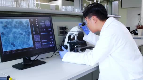 Cientista a trabalhar no laboratório. Médico asiático fazendo pesquisa médica. Ferramentas de laboratório: microscópio, tubos de ensaio, equipamento. Biotecnologia, química, ciência, experimentos e conceito de saúde . — Vídeo de Stock