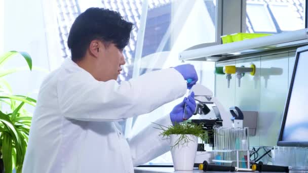 Científico trabajando en el laboratorio. Médico asiático haciendo investigación médica. Herramientas de laboratorio: microscopio, tubos de ensayo, equipo. Biotecnología, química, ciencia, experimentos y concepto de salud . — Vídeos de Stock