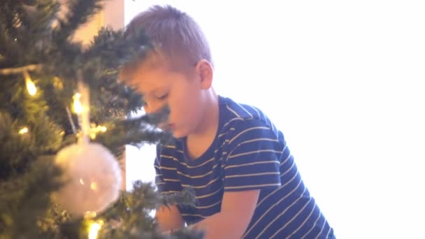 Petit garçon attrayant décorant l'arbre de Noël avec des boules et des lumières. Un enfant se prépare pour le Nouvel An à la maison . — Video