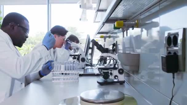Wissenschaftler und Studenten, die im Labor arbeiten. Doktor lehrt Praktikanten analytische Forschung zu machen. Laborwerkzeuge: Mikroskop, Reagenzgläser, Geräte. Biotechnologie, Chemie, Bakteriologie, Virologie. — Stockvideo