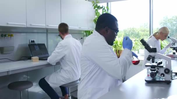 Wetenschapper en studenten werken in het lab. Dokter die stagiaires leert om onderzoek te analyseren. Laboratoriumgereedschappen: microscoop, reageerbuizen, apparatuur. Biotechnologie, chemie, bacteriologie, virologie. — Stockvideo