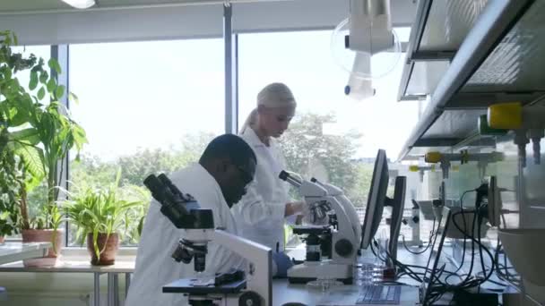 Scientifique travaillant au labo. Médecins faisant de la recherche médicale. Outils de laboratoire : microscope, éprouvettes, équipement. Biotechnologie, chimie, science, expérimentation et concept de santé .