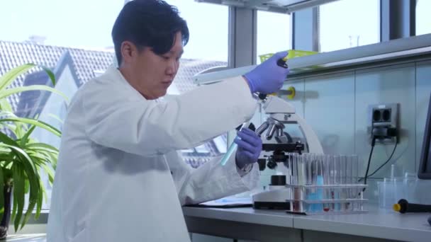 Asian scientist working in lab. Doctor making microbiology research. Laboratory tools: microscope, test tubes, equipment. Biotechnology, chemistry, bacteriology, virology. — Stock Video