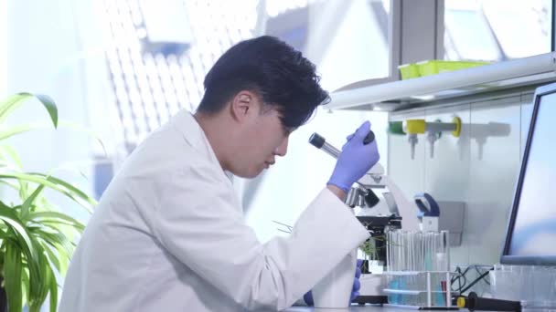 Scientist working in lab. Asian doctor making medical research. Laboratory tools: microscope, test tubes, equipment. Biotechnology, chemistry, science, experiments and healthcare concept. — Stock Video