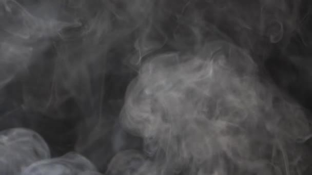 Roken textuur op lege zwarte achtergrond — Stockvideo