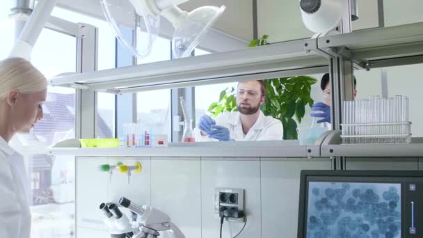 Científico trabajando en el laboratorio. Médicos haciendo investigación médica. Herramientas de laboratorio: microscopio, tubos de ensayo, equipo. Biotecnología, química, ciencia, experimentos y concepto de salud . — Vídeos de Stock