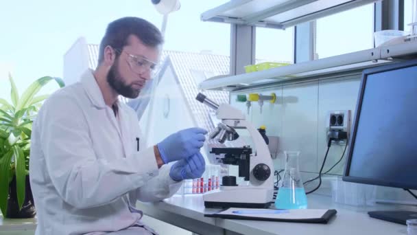 Scientifique travaillant au labo. Docteur en microbiologie. Outils de laboratoire : microscope, éprouvettes, équipement. Biotechnologie, chimie, bactériologie, virologie, ADN et soins de santé. — Video