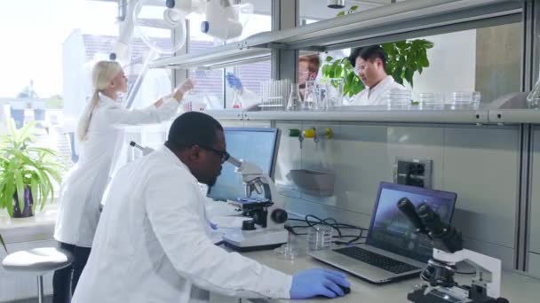 Científico trabajando en el laboratorio. Médicos haciendo investigación médica. Herramientas de laboratorio: microscopio, tubos de ensayo, equipo. Biotecnología, química, ciencia, experimentos y concepto de salud . — Vídeos de Stock