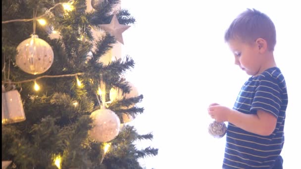 Atractivo niño pequeño decorando el árbol de Navidad con bolas y luces. Niño preparándose para el Año Nuevo en casa . — Vídeos de Stock