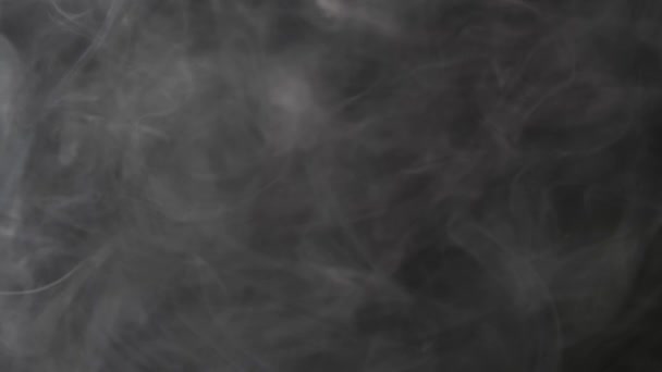 Textura de humo sobre fondo negro en blanco — Vídeos de Stock