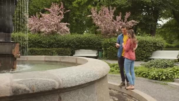 噴水の近くの公園でデートしている若い 愛情のあるカップル 愛の概念 — ストック動画