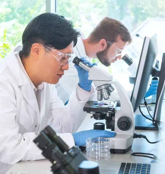 Cientista Estudantes Que Trabalham Laboratório Médico Estagiário Ensino Para Fazer — Fotografia de Stock