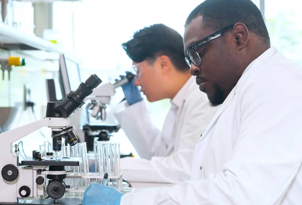 Scientist Working Lab Doctors Making Medical Research Laboratory Tools Microscope — Stock Photo, Image