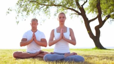Formda bir adam ve güzel bir kadın çimlerin üzerinde yoga yapıyor. Deniz, gökyüzü ve arka plandaki ağaç. Gün batımında esneme egzersizi. Spor, spor, sağlık hizmetleri ve yaşam tarzı kavramları.