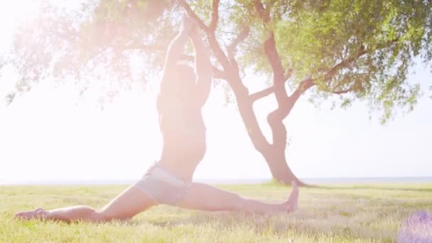 Sağlıklı Yakışıklı Bir Adam Çimlerin Üzerinde Yoga Yapıyor Deniz Gökyüzü — Stok video