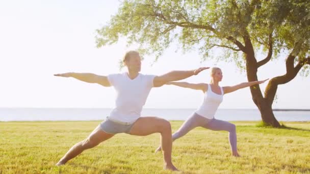 Passar Man Och Vacker Kvinna Som Utövar Yoga Utomhus Gräset — Stockvideo