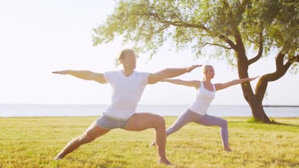 Hombre Mujer Hermosa Practicando Yoga Aire Libre Hierba Mar Cielo — Vídeos de Stock