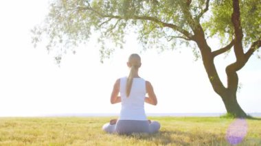 Formda ve güzel bir kadın çimlerin üzerinde yoga yapıyor. Deniz, gökyüzü ve arka plandaki ağaç. Gün batımında esneme egzersizi. Spor, spor, sağlık hizmetleri ve yaşam tarzı kavramları.