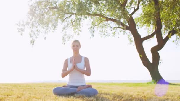 Formda Güzel Bir Kadın Çimlerin Üzerinde Yoga Yapıyor Deniz Gökyüzü — Stok video