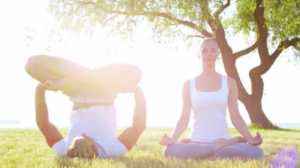 Formda Bir Adam Güzel Bir Kadın Çimlerin Üzerinde Yoga Yapıyor — Stok video