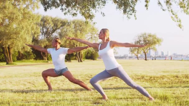 Hombre Mujer Hermosa Practicando Yoga Aire Libre Hierba Mar Cielo — Vídeos de Stock