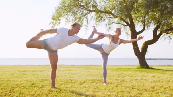 Fit Man Mooie Vrouw Oefenen Yoga Buiten Het Gras Zee — Stockvideo
