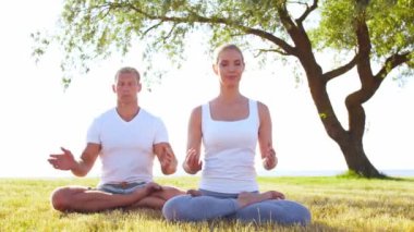 Formda bir adam ve güzel bir kadın çimlerin üzerinde yoga yapıyor. Deniz, gökyüzü ve arka plandaki ağaç. Gün batımında esneme egzersizi. Spor, spor, sağlık hizmetleri ve yaşam tarzı kavramları.