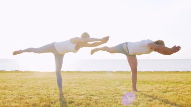 Formda bir adam ve güzel bir kadın çimlerin üzerinde yoga yapıyor. Deniz, gökyüzü ve arka plandaki ağaç. Gün batımında esneme egzersizi. Spor, spor, sağlık hizmetleri ve yaşam tarzı kavramları.