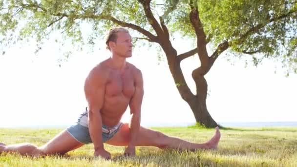 Przystojny Mężczyzna Ćwiczący Jogę Trawie Morze Niebo Drzewo Tle Ćwiczenia — Wideo stockowe