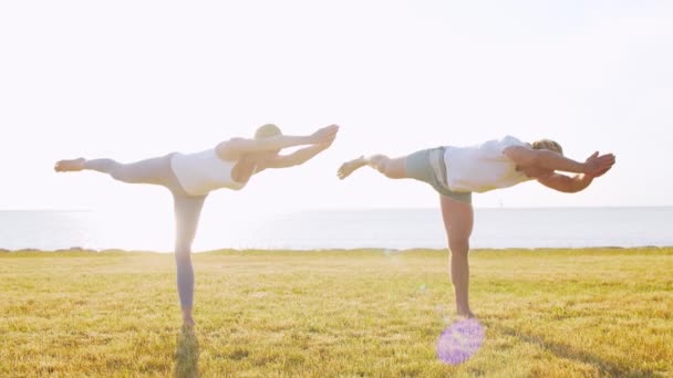 Fit Homme Belle Femme Pratiquant Yoga Plein Air Sur Herbe — Video