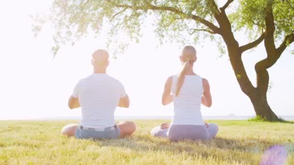 Hombre Mujer Hermosa Practicando Yoga Aire Libre Hierba Mar Cielo — Vídeos de Stock