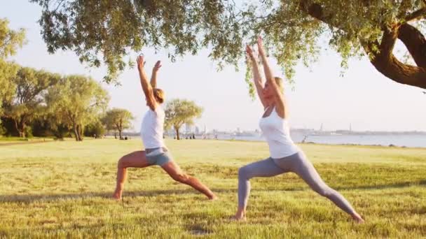 Formda Bir Adam Güzel Bir Kadın Çimlerin Üzerinde Yoga Yapıyor — Stok video