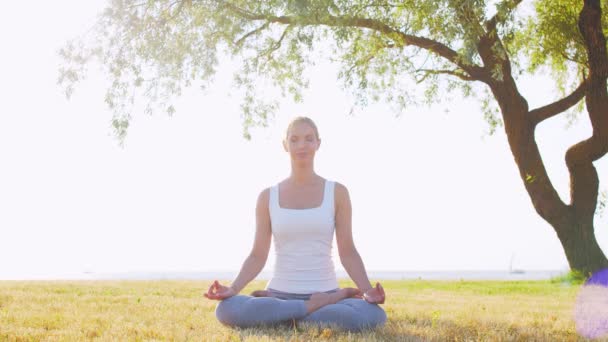 Fit Und Schöne Frau Praktiziert Yoga Freien Auf Dem Rasen — Stockvideo