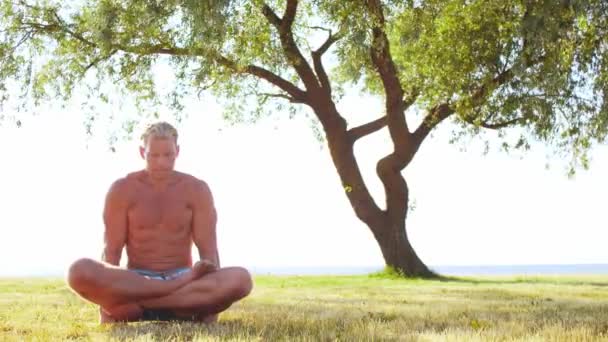 Convient Bel Homme Pratiquant Yoga Plein Air Sur Herbe Mer — Video