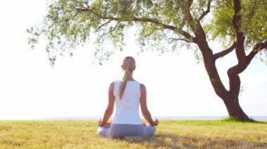 Formda ve güzel bir kadın çimlerin üzerinde yoga yapıyor. Deniz, gökyüzü ve arka plandaki ağaç. Gün batımında esneme egzersizi. Spor, spor, sağlık hizmetleri ve yaşam tarzı kavramları.