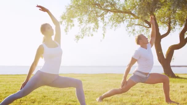 Hombre Mujer Hermosa Practicando Yoga Aire Libre Hierba Mar Cielo — Vídeos de Stock