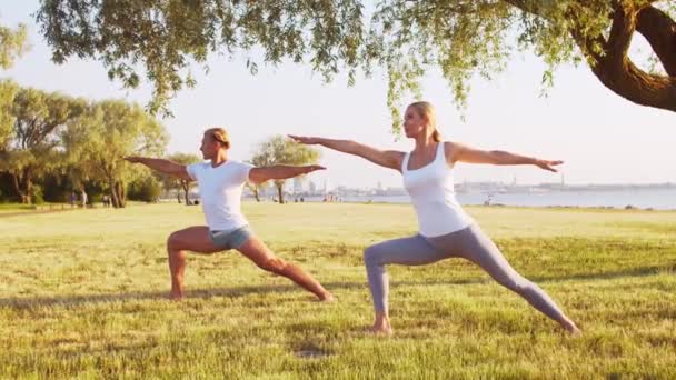 Hombre Mujer Hermosa Practicando Yoga Aire Libre Hierba Mar Cielo — Vídeos de Stock