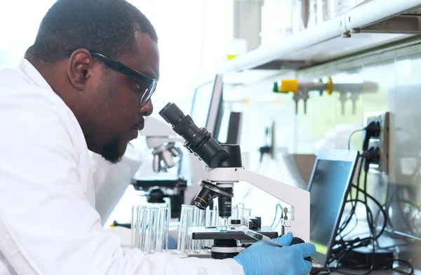 Laboratuvarda çalışan bilim adamları ve öğrenciler. Doktor stajyerlere araştırma yapmayı öğretiyor. Laboratuvar aletleri: mikroskop, test tüpleri, ekipmanlar. Biyoteknoloji, kimya, bakteriyoloji, viroloji, DNA