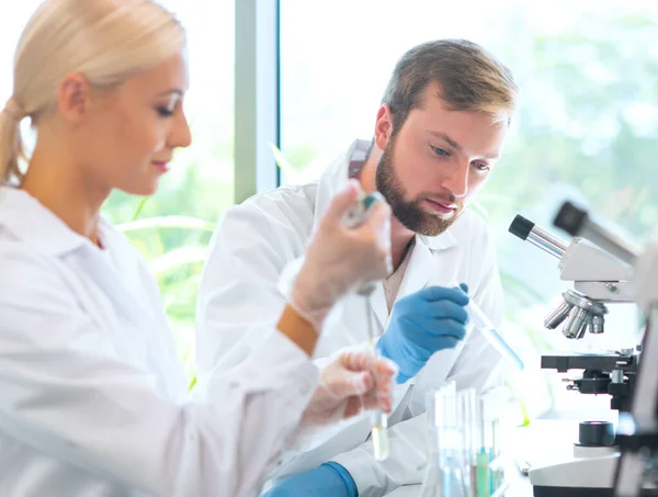 Cientista Trabalhar Laboratório Médicos Fazer Pesquisa Médica Ferramentas Laboratório Microscópio — Fotografia de Stock