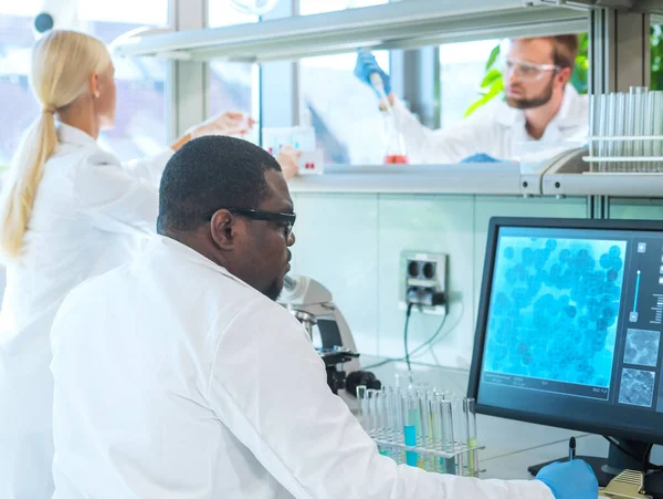 Cientista Estudantes Que Trabalham Laboratório Médico Ensinar Estagiários Fazer Análises — Fotografia de Stock