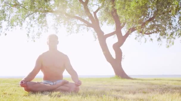 Fit Und Gut Aussehend Praktiziert Yoga Freien Auf Dem Rasen — Stockvideo