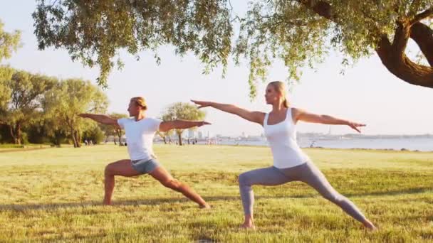 Hombre Mujer Hermosa Practicando Yoga Aire Libre Hierba Mar Cielo — Vídeos de Stock