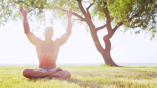 Sağlıklı Yakışıklı Bir Adam Çimlerin Üzerinde Yoga Yapıyor Deniz Gökyüzü — Stok video