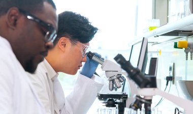 Laboratuvarda çalışan bilim adamları ve öğrenciler. Doktor stajyerlere araştırma yapmayı öğretiyor. Laboratuvar aletleri: mikroskop, test tüpleri, ekipmanlar. Biyoteknoloji, kimya, bakteriyoloji, viroloji, DNA