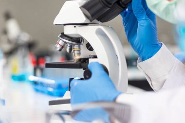 Mavi lastik eldiven giyen adamların elleri laboratuarda çalışmak için mikroskop kullanıyor..